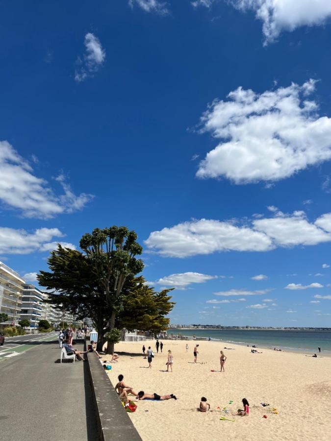 Les Voiles De Appartement